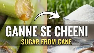 Manufacturing of Sugar from sugarcane | Chemical process technology 