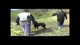 Patrol Dog .Дрессировка собак по Программе 