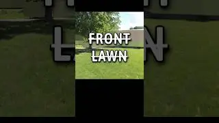 I Turned My Front Lawn into a Native Pollinator Garden