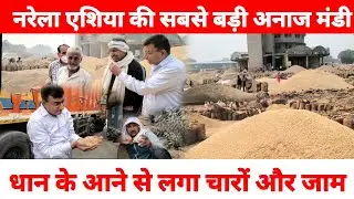 NARELA एशिया की सबसे बड़ी अनाज मंडी।धान के आने से लगा चारों और जाम। @narela varta#delhi #anazmandi