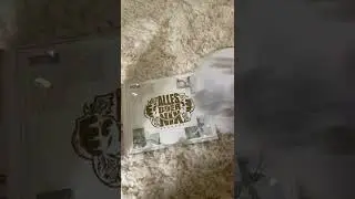 Schwesta Ewa - Realit&auml;t CD UNBOXING