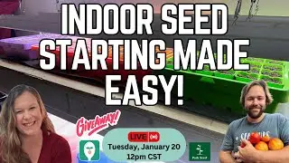 Indoor Seed Starting Made Easy: Everything You Need to Know from Start to Finish!
