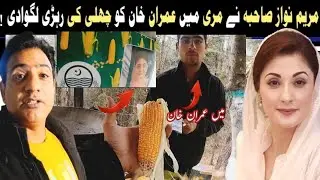 Maryam Nawaz made set up of corn cart to Imran Khan in Murree | مری میں مکئی کا سٹہ  | Baked corn