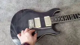PRS SE Custom 24 30th Anniversary Grey Black