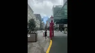 뉴질랜드 크리스마스는 여름! Christmas in New Zealand is summer