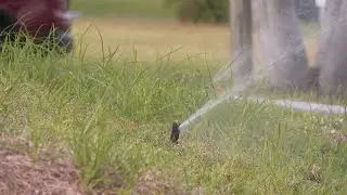 Florida residents seek solutions amid rain shortages