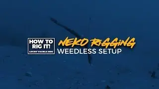 How To: Neko Rigging