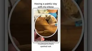 Mushroom Carving, Spalted Ash, and the Art of Patience