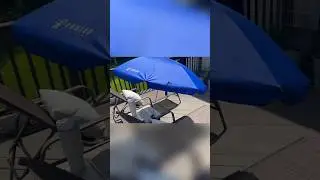 Best outdoor activity needs, AMMSUN chair umbrella with clamp
