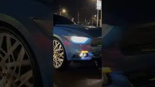 Outrageous Ford Mustang on 26&rsquo;s Forgiatos
