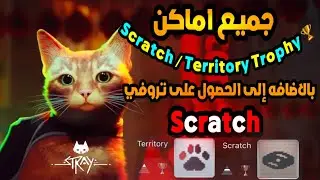 شرح جميع اماكن Scratch لـ تروفي Territory في لعبة Stray ستراي والحصول على تروفي Scratch - مهندز