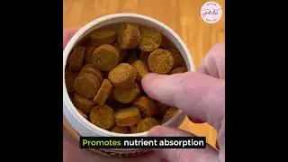 PetNestShop-Digestive Enzymes Dog Probiotics