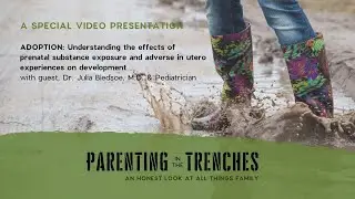 Adoption: Impacts of prenatal substance exposure and adverse in utero experiences, with Dr. Bledsoe