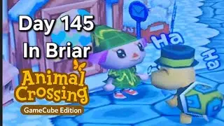 Animal Crossing GameCube – Day 145: Tortimer’s Surprise Visit, a Lighthouse Reward, and a Quiet Day