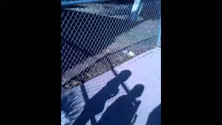 Calecia fence test