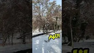 اللهم صل وسلم وبارك على سيدنا محمد وعلى آله وصحبه أجمعين # اللهم اغفر لوالدينا و ارحمهما