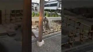 ENJOYING FREE ONSEN IN JAPAN 🇯🇵 ( footbath natural hotsprings )