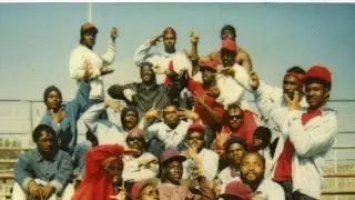 #pirus and Blood is it the same #culture 
