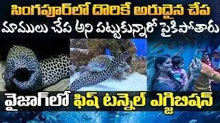 Underwater Fish Tunnel Exhibition In Visakhapatnam | Vizag Fish Tunnel Exhibition | Daily Culture