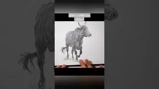 10 years! #drawingprocess #drawing #graphite #art #pencildrawing #realisticdrawing #pencilart