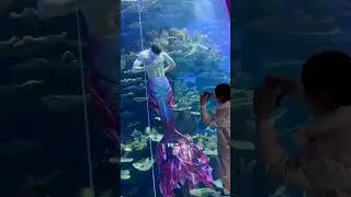 #merman #reel #handsome #mermay #mermaid #swimming #aquarium #pool #diving #sealife #aquarium