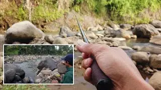 Joran Sultan Daiwa Hinata Micro fishing Rod