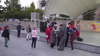 Clip0310/2018 양산 국화향연