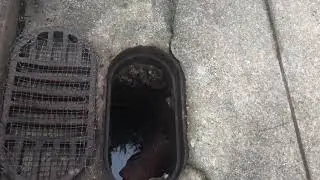 Pool overflow drain setup