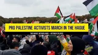 Mass Protest in The Hague Calls Out Israeli War Crimes