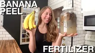 How To Make Banana Peel Fertilizer For Peppers & Tomatoes 🍌 (ZERO WASTE)