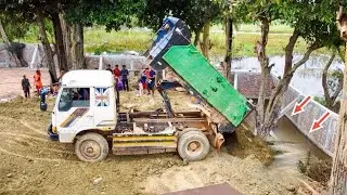 Start Opening New Project!! MITSUBISHI Bulldozer DP2A pushing Soil into flooded​ Pond& Trucks 5Ton.