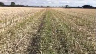Claydon straw rake