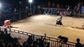 jaranan wbb(wargo bekti budoyo)