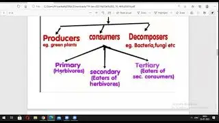 GREEN SKILLS (ENVIRONMENT, ECOSYSTEM, GREEN HOUSE EFFECT AND CONSERVATION OF NATURAL RESOURCES