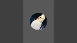 lovey_dovey is live!
