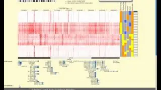 WashU genome browser: bigBed generator