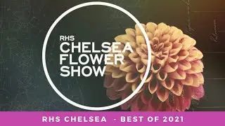 RHS Chelsea Flower Show 2021 - Best of 2021