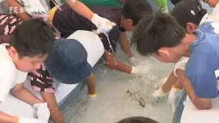 つかみ取りに歓声   常陸大宮