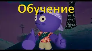 Обучение | Peak