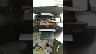 LIVE PHOTO PRINT