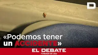 Una plaga de cucarachas invade los autobuses interurbanos de M&aacute;laga