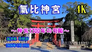 【氣比神宮】 【4K】 神宮1300年の奇跡！【Kehi Shrine】 January 10 , 2026