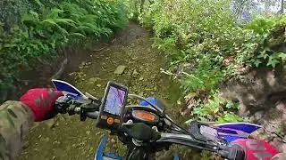 Baddaford Lane, Staverton (Suicide Alley) GRM: 5579 Devon Green Lanes E-W
