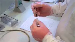 Microbiology: Identifying yeast with the germ test tube