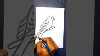 #drawbird #bird #shorts
