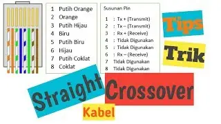 Membuat Kabel Straight