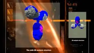 Monoclonal Antibody 3-D conformational comparability analysis from Array Bridge Inc.
