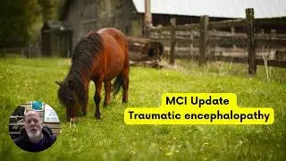 MCI / Traumatic Encephalopathy Update #mci #dementia #livingwithdementia #aimingforjesus