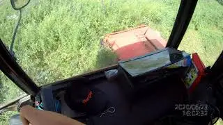 ZetorVlog-30-20-Zetor 7011 s ŽTR 165-  sekám nějaké neznámé pole  -dělám služby- hustý porost