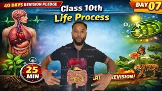 Life Processes Class 10th | 25 Min | Rapid Revision | Day 07 | #40daysrevisionpledge